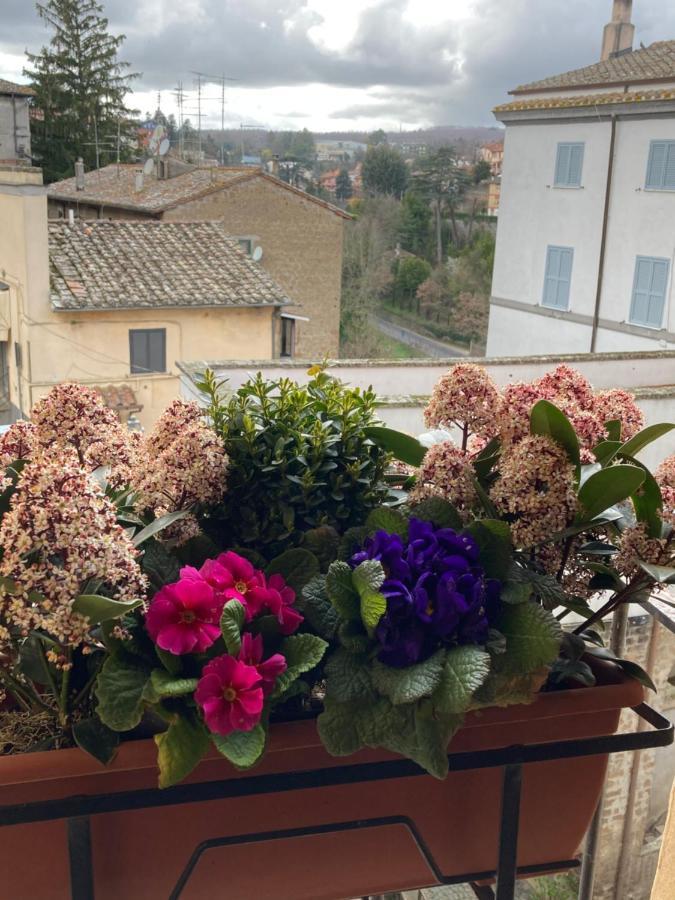 La Casetta Nel Granaio Capranica Extérieur photo